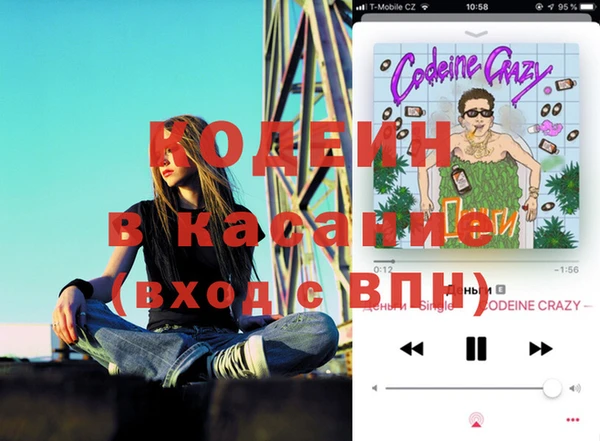 твердый Арсеньев