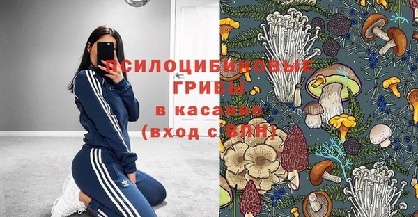 твердый Арсеньев