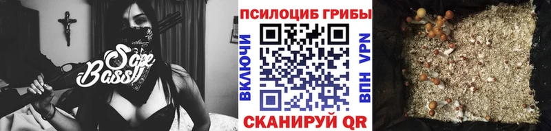 Галлюциногенные грибы Psilocybe  сколько стоит  Любань 